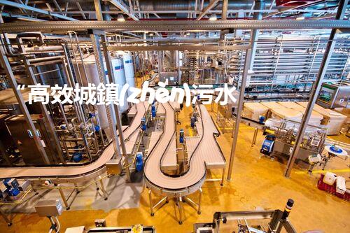 “高效城鎮(zhèn)污水處理流程，守護(hù)碧水藍(lán)天新篇章”